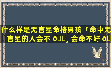 什么样是无官星命格男孩「命中无官星的人会不 🌸 会命不好 🐝 」